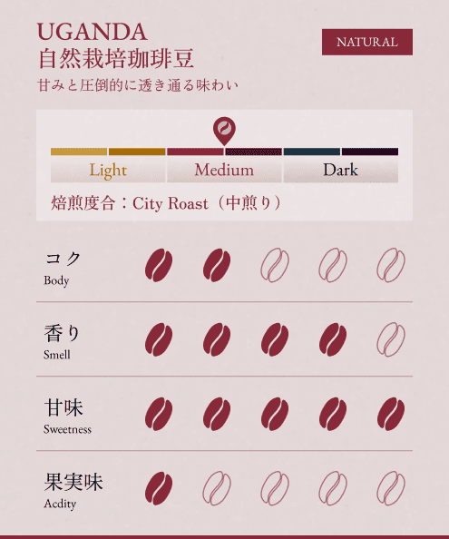 【GIFT】BONGEN 人気セット3種