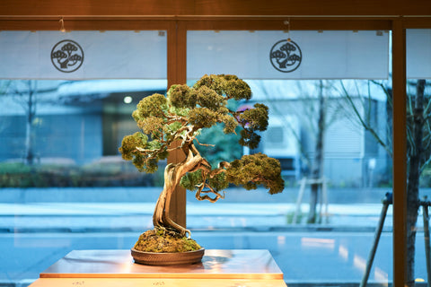 TOKYO COFFEE