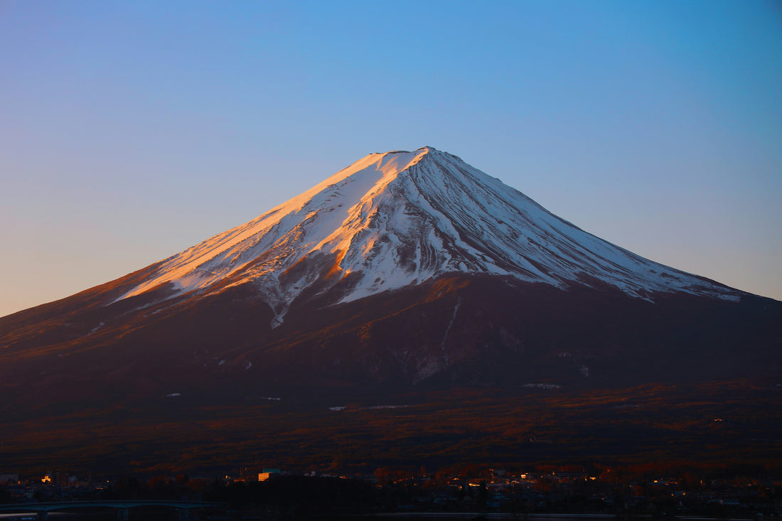 Why Japanese Coffee Culture Is Different