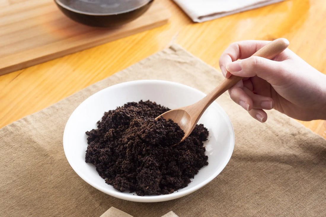 カフェインと肌の関係：研究で注目されるポイントとは？