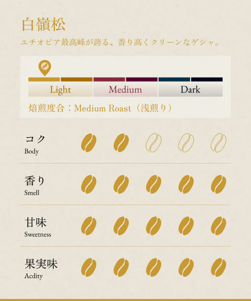エチオピア　最高峰セット