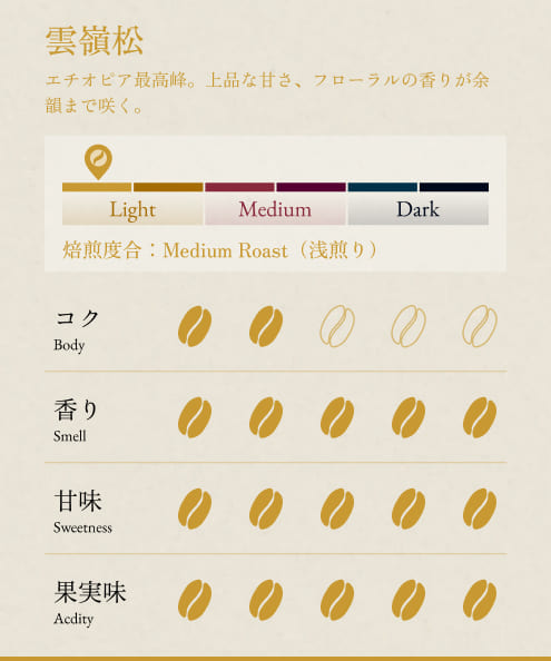 エチオピア　最高峰セット