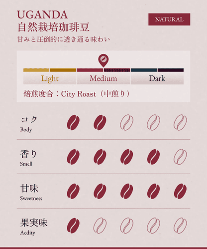 【GIFT】BONGEN 人気セット3種